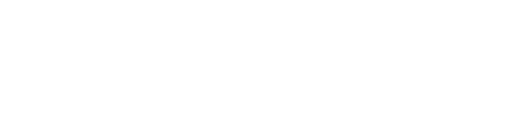WNMU primary spelled out logo in white