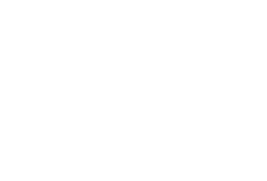 WNMU secondary spelled out logo in white