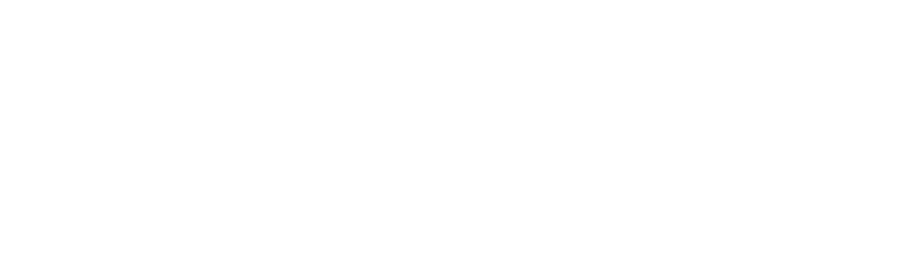 WNMU primary logo in white